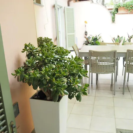La Casa Del Maestro Nyaraló